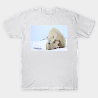 Mother plar bear watching over potential hazards T-Shirt